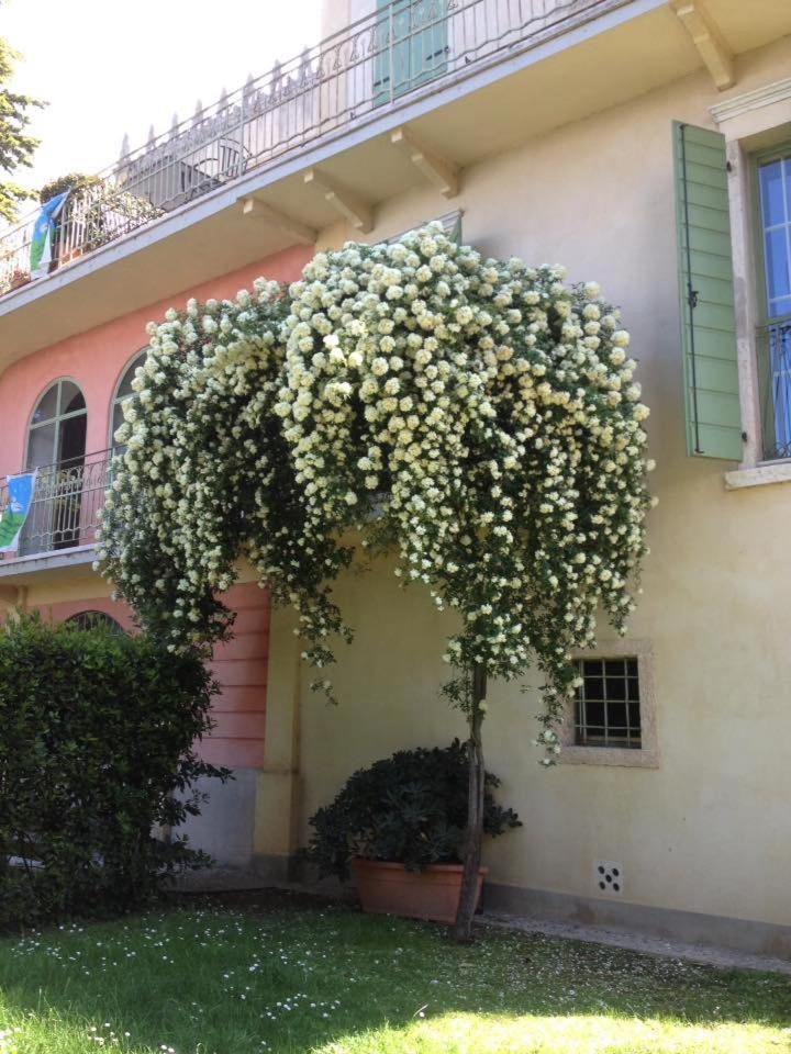 Villa Cisano Residenza D'Epoca Bardolino Exterior photo